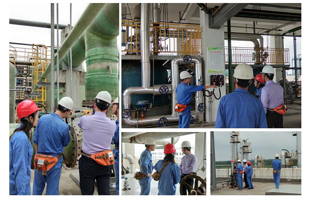 专家团队一对一服务