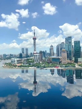 环境空气VOCs在线监测