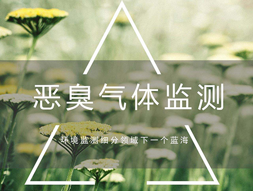 恶臭气体监测