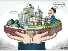 企业干扰空气质量监测设备破坏大气环境，被罚投资百万建公园